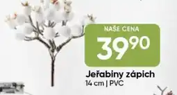 Hruška Jeřabiny zápich nabídka