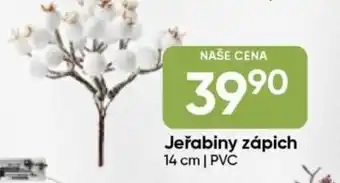 Hruška Jeřabiny zápich nabídka