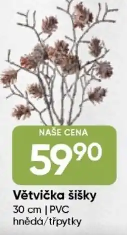 Hruška Větvička šišky nabídka