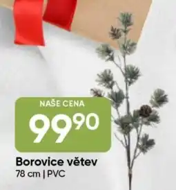 Hruška Borovice větev nabídka