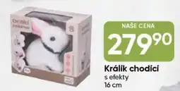 Hruška Králík chodící nabídka