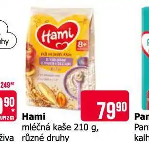 Teta Hami mléčná kaše nabídka