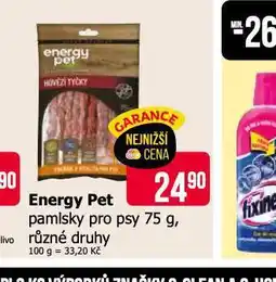 Teta Energy pet pamlsky pro psy nabídka