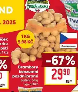 Billa Brambory konzumní pozdní prané balení, 5 kg nabídka