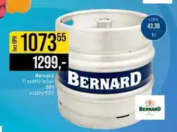 Jip Bernard 11 světlý ležák vratný KEG 30 l nabídka