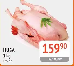 Coop hb Husa nabídka