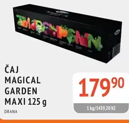 Coop hb Čaj magical garden maxi nabídka