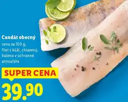 Lidl Candát obecný nabídka