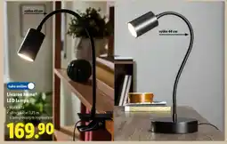 Lidl Livarno home LED lampa nabídka
