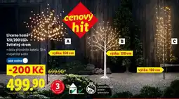 Lidl Livarno home 120/200 LED Světelný strom nabídka