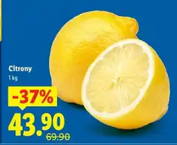 Lidl Citrony nabídka