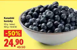 Lidl KANADSKÉ BORŮVKY nabídka
