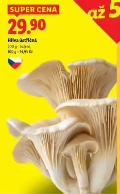 Lidl Hlíva ústřičná nabídka