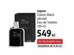 dm drogerie Jaguar classic black nabídka