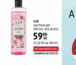 dm drogerie Lux sprchový gel nabídka
