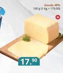 Potraviny CZ Gouda 48% nabídka