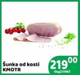 Brněnka Sunka od kosti kmotr nabídka