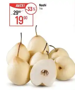 Globus Nashi nabídka