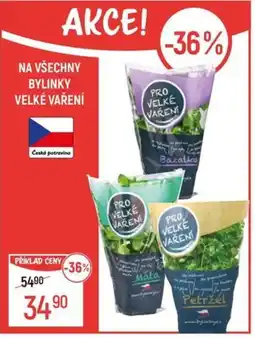 Globus Na všechny bylinky velké vaření nabídka