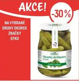Globus Na vybrané druhy okurek značky Efko nabídka