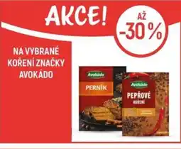 Globus Na vybrané koření značky Avokádo nabídka