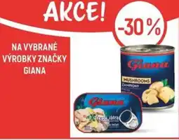Globus Na vybrané výrobky značky Giana nabídka