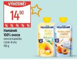 Globus Hamánek 100% ovoce nabídka