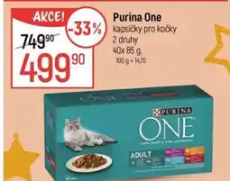 Globus Purina One nabídka
