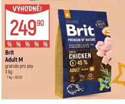 Globus Brit Adult M nabídka