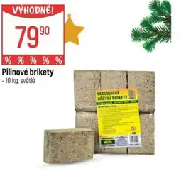Globus Pilinové brikety nabídka
