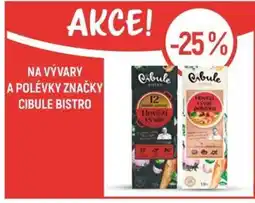 Globus Na vývary a polévky značky Cibule bistro nabídka