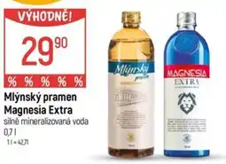 Globus Mlýnský pramen Magnesia Extra nabídka