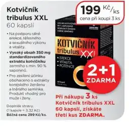 Magistra lékárny Kotvičník tribulus XXL nabídka