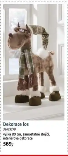 Bauhaus Dekorace los nabídka