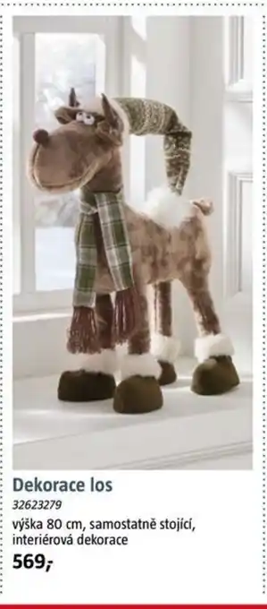 Bauhaus Dekorace los nabídka