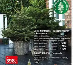 Bauhaus Smrčky Omorica Picea omorika nabídka