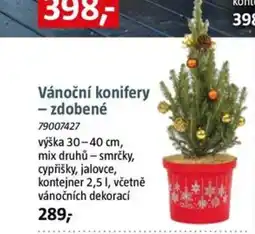 Bauhaus Vánoční konifery - zdobené nabídka