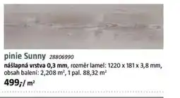 Bauhaus Pinie sunny 28806990 nabídka