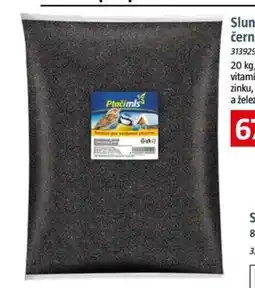 Bauhaus Slunečnice černá nabídka