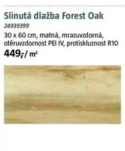Bauhaus Slinutá dlažba Forest Oak nabídka