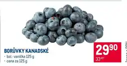 Makro Borůvky kanadské nabídka