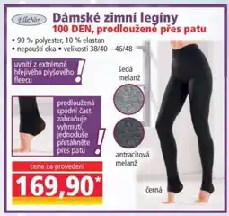 Norma Dámské zimní legíny nabídka