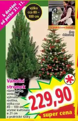 Norma Vánoční stromek nabídka
