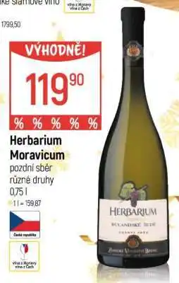 Globus Herbarium Moravicum nabídka