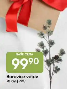 Hruška Borovice větev 78 cm | PVC nabídka