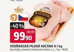 Trefa VODŇANSKÁ MLADÁ KACHNA A 1kg bez drobů nabídka