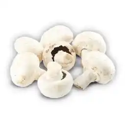 Trefa Žampiony bílé zahradní 1 kg nabídka