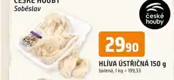 Trefa HLÍVA ÚSTŘIČNÁ 150 g balená nabídka