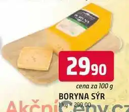 Trefa BORYNA SÝR Akční 100 g nabídka