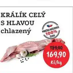 RABBIT řeznictví KRÁLÍK CELÝ S HLAVOU chlazený 1kg nabídka